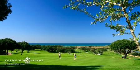 VDL golf